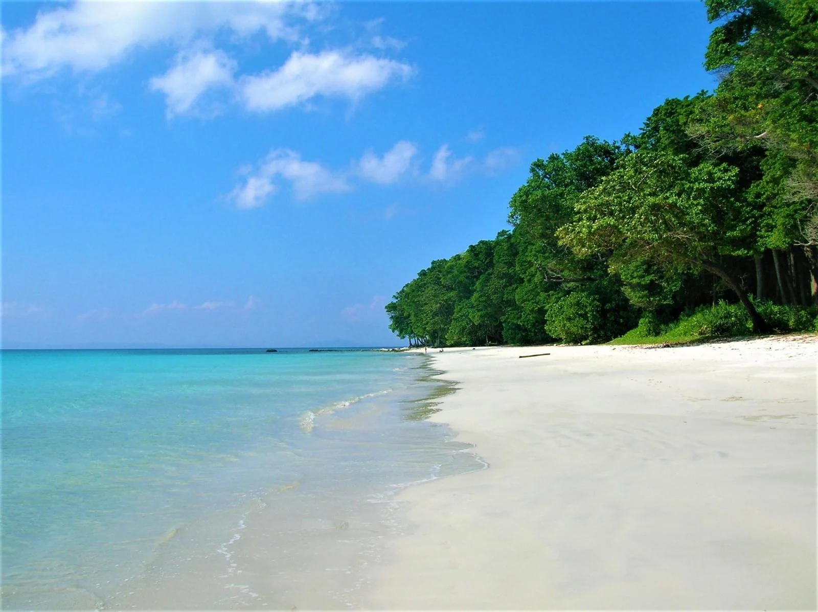 Havelock Island tour packages